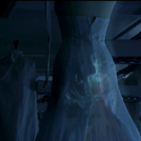 Dior's Spirit in Studio at Night